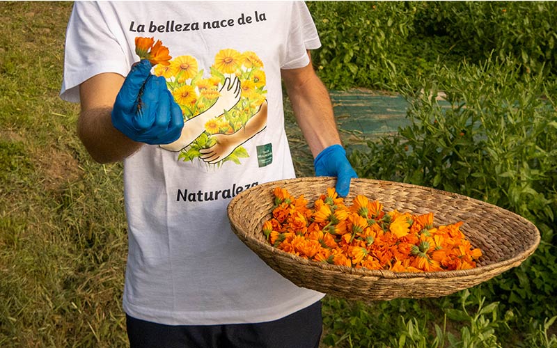 meetbio-taller-madreselva-800×500 meetbio-taller-madreselva-800x500
