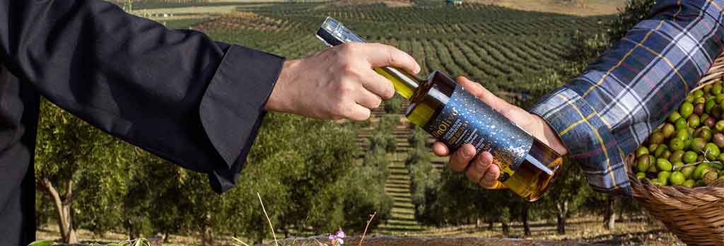 UnOlivo aceite de oliva virgen extra ecolñogico de Jaén