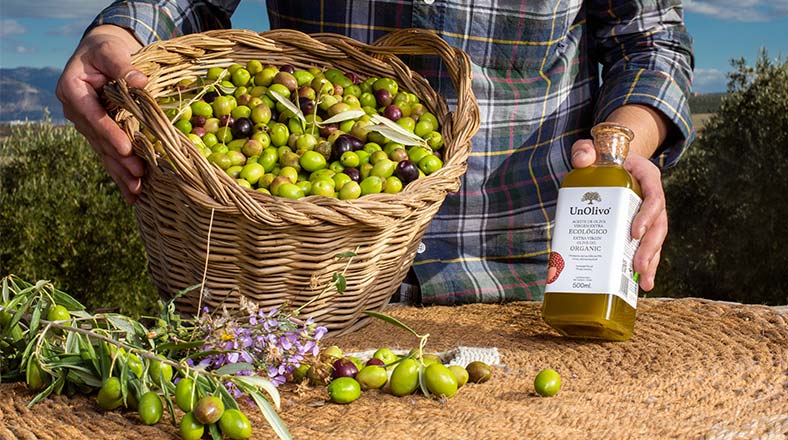 UnOlivo aceite de oliva virgen extra ecológico de Jaén