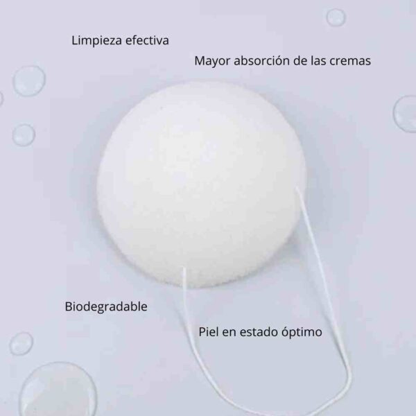 Esponja facial natural konjac purificante Banbu