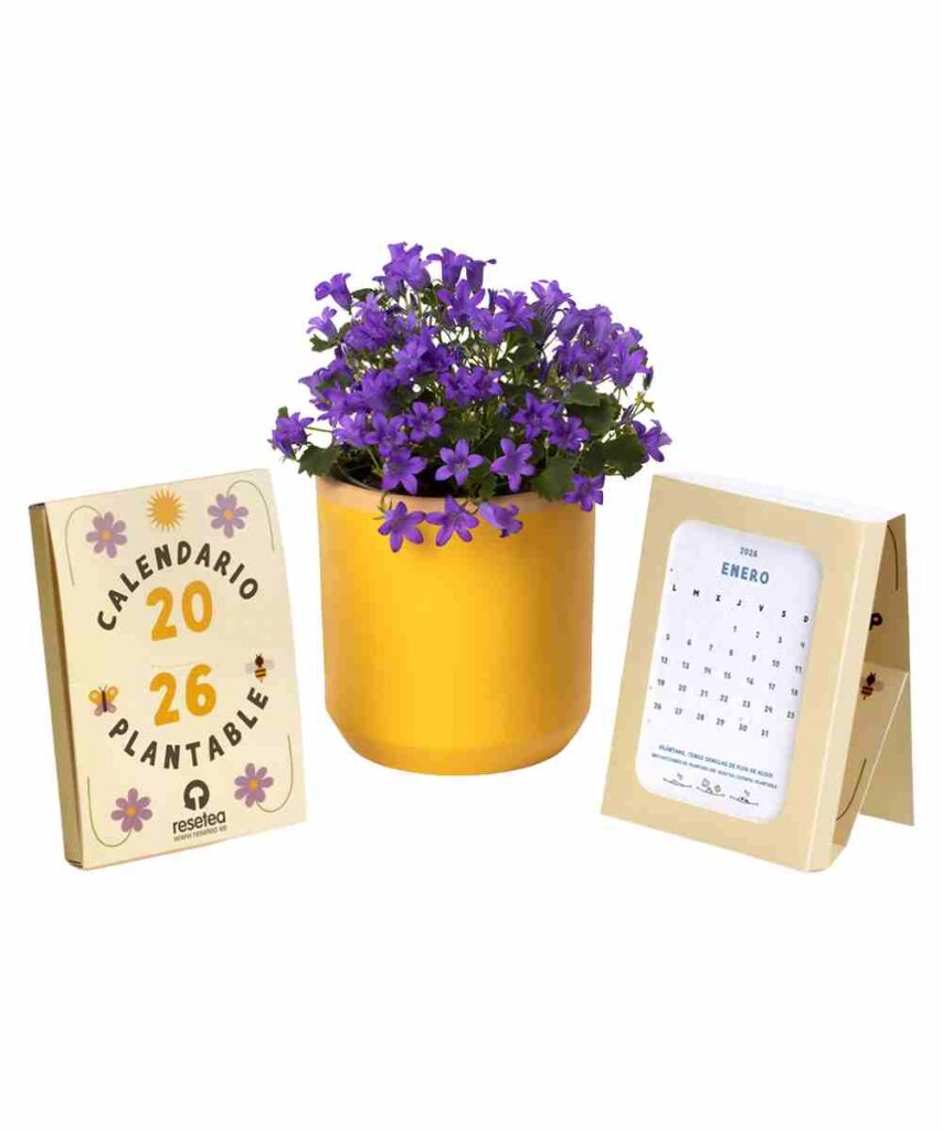 Calendario Plantable Regalo Original y sostenible Resetea