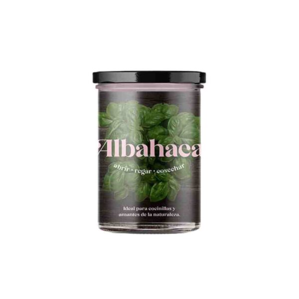huerto de cocina albahaca de resetea