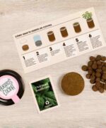 huerto de cocina albahaca de resetea