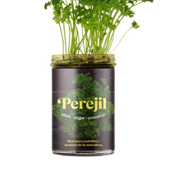 huerto de cocina perejil de resetea