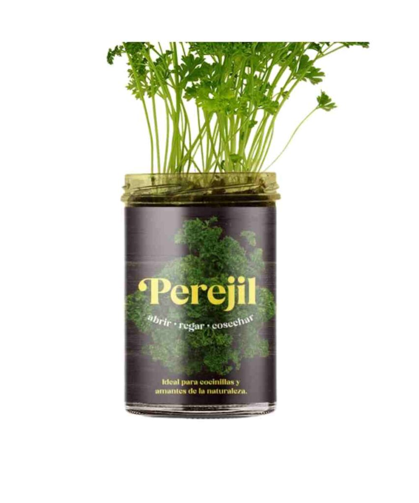 huerto de cocina perejil de resetea