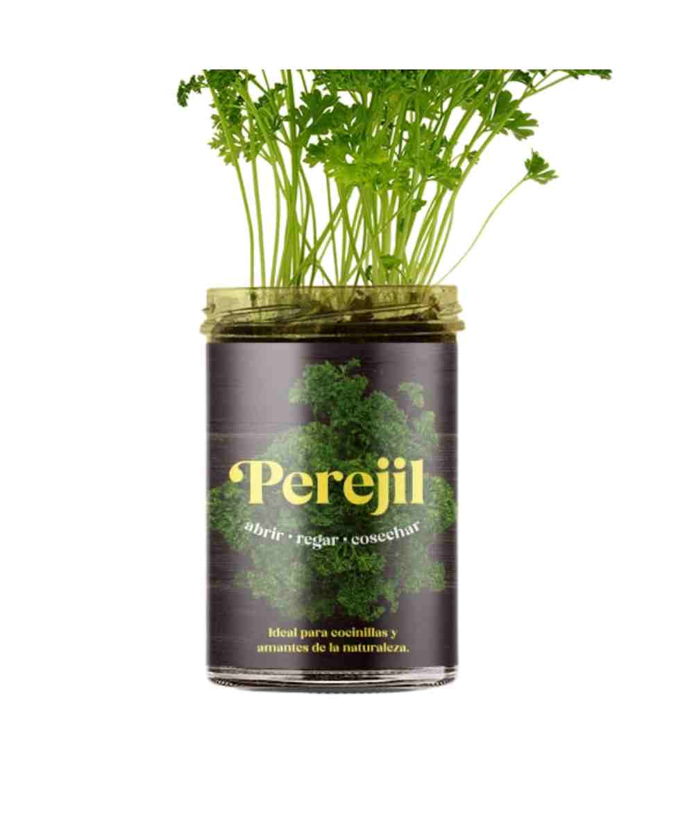 huerto-cocina-perejil-resetea-meetbio huerto de cocina perejil de resetea
