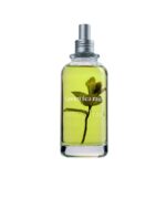 Agua de colonia te verde y menta ecológica sin disruptores hormonales de Jimmy Boyd