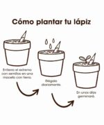 Lápiz plantable de Flores Resetea - Imagen 2